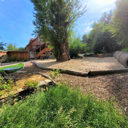 Pferdehof Am Burgsberg, Ferienzimmer, Monteurzimmer Seifhennersdorf Esterno foto
